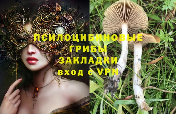 гидра Покров