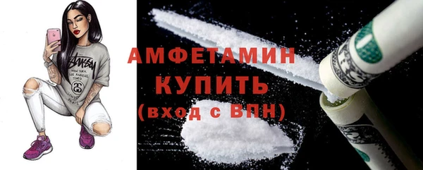 дмт Гатчина