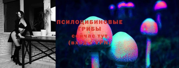 меф Пролетарск