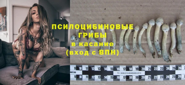 меф Пролетарск