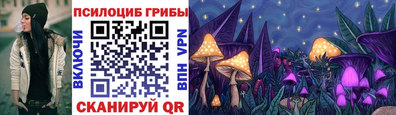 Галлюциногенные грибы Cubensis  дарнет шоп  Сарапул 