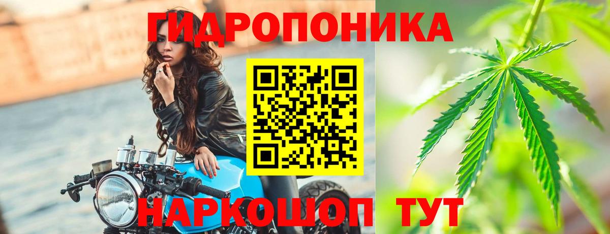 Канабис тримм  Конопля Amnesia  Вход с VPN  Сарапул  Канабис Ganja 
